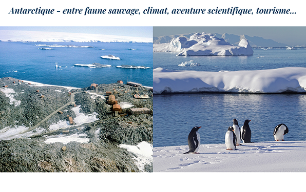 Antarctique - entre faune sauvage, climat, aventure scientifique, tourisme…